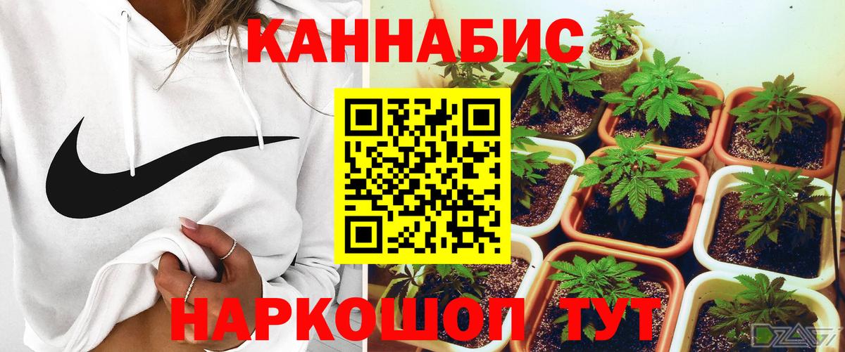 Конопля гибрид  Каннабис OG Kush  Светлоград  Вход с VPN  Бошки марихуана индика 